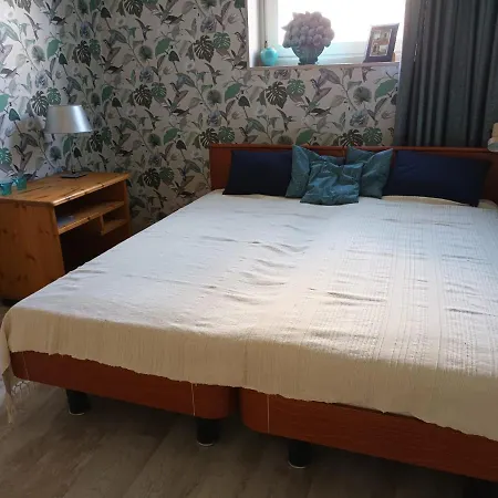 Bollenboet * Sint Maarten